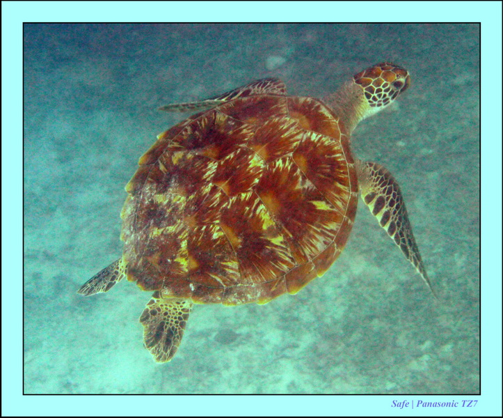 2009   07   Matakin 30